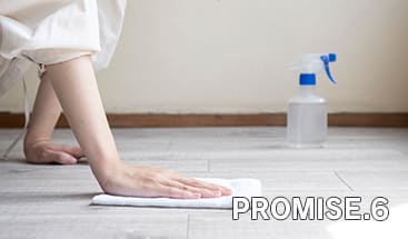 promise6